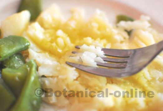 patata hervida con verdura, aceite y sal