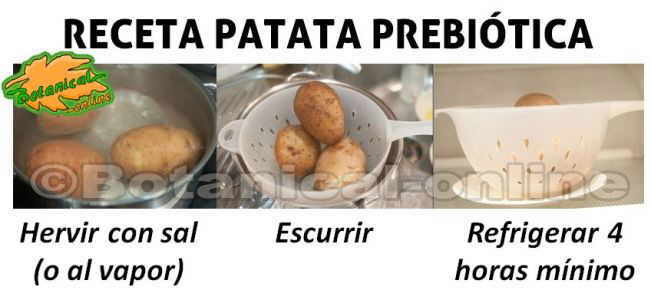 receta de patata prebiotica paso a paso