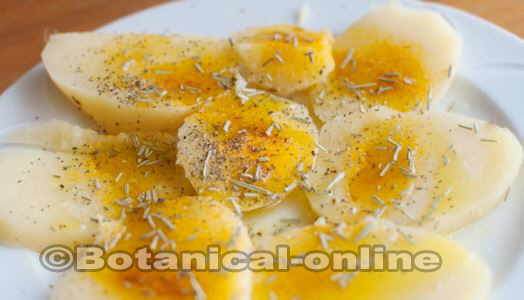 patatas prebioticas receta almidones resistentes diarrea