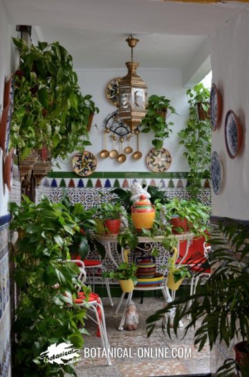 Galeria porticada con plantas