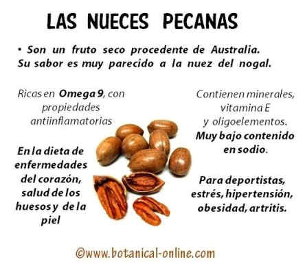 Propiedades de las nueces pecanas