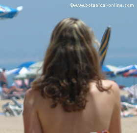 pelo en la playa