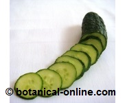 Pepino con mucha agua