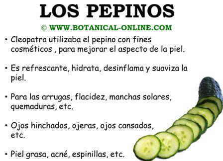 Propiedades medicinales del pepino