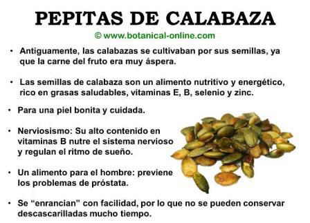 Propiedades calabaza