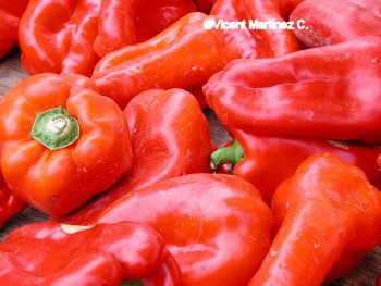 Pimiento