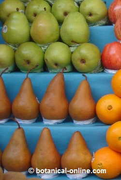 variedades de peras en un mercado