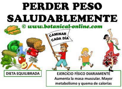 perder peso saludablemente es con dieta y ejercicio