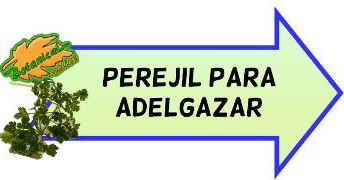 propiedades del perejil para adelgazar