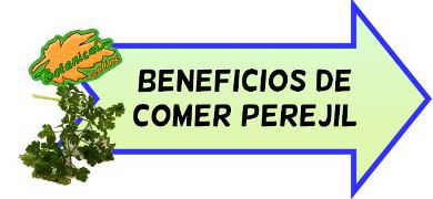 beneficios comer perejil