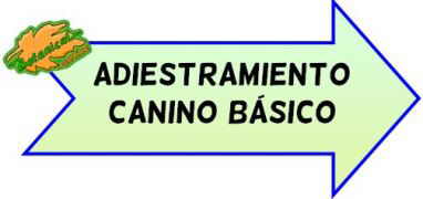 adiestramiento canino basico