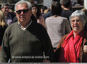 Personas mayores con canas