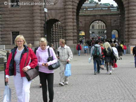 Personas de pelo rubio y piel clara en una calle de Oslo. 