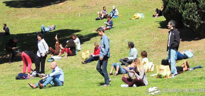parque