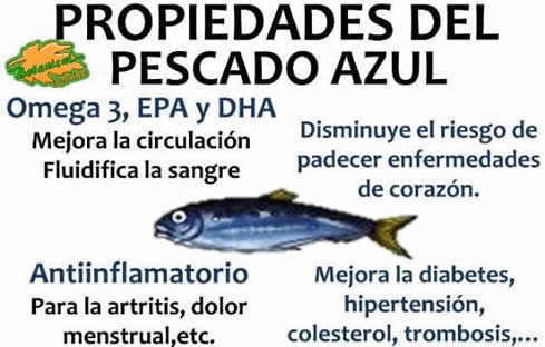 propiedades del pescado azul