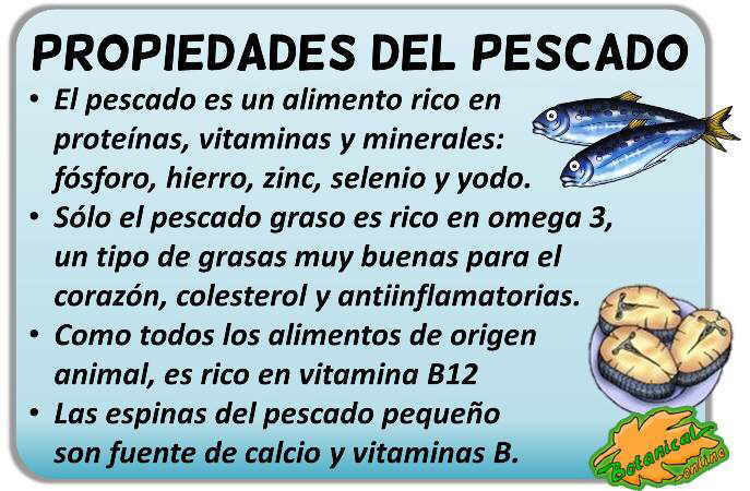 propiedades y beneficios de la pescado, vitaminas minerales