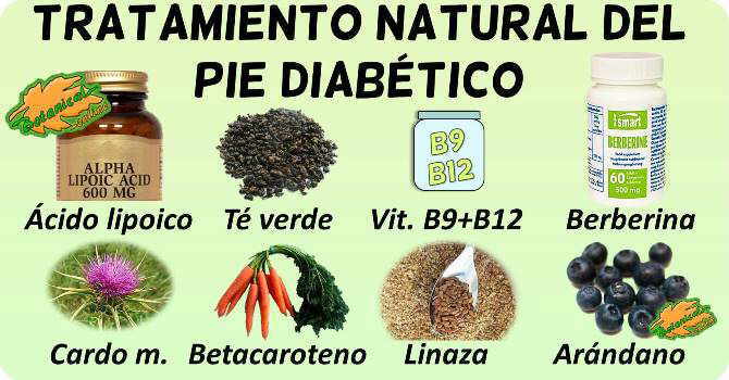 remedios naturales pie diabetico suplementos plantas medicinales fitoterapia