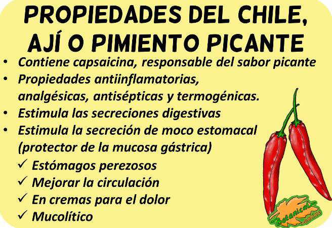 pimenton picante pimiento paprika cayena propiedades