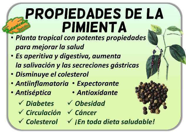 propiedades medicinales de la pimienta negra verde blanca piper nigrum