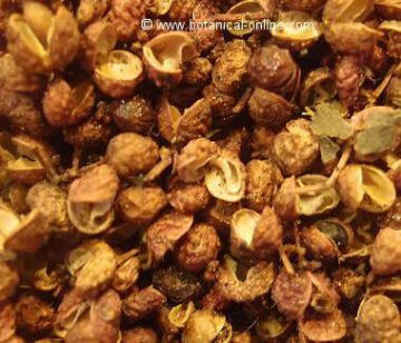 pimienta de Sichuan