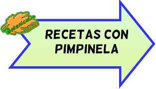 recetas con pimpinela