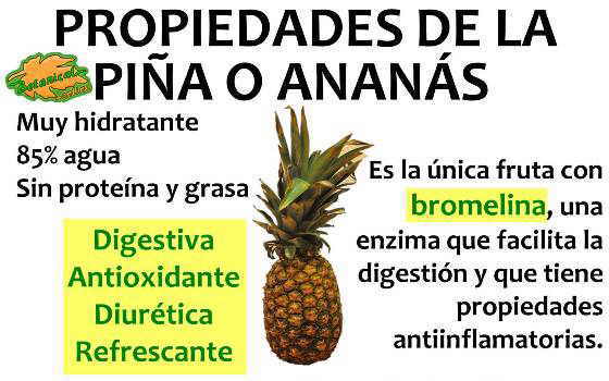 propiedades y beneficios de la piña o ananas