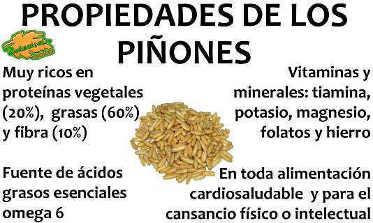 propiedades de los piñones de pino