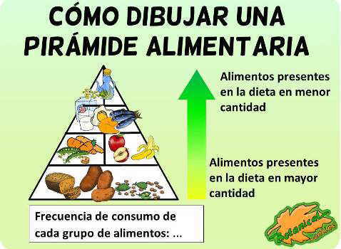 ejemplo piramide alimenticia explicada para niños