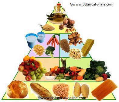 piramide de vegetarianismo