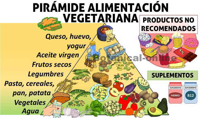 Pirámide de la dieta vegetariana, alimentos