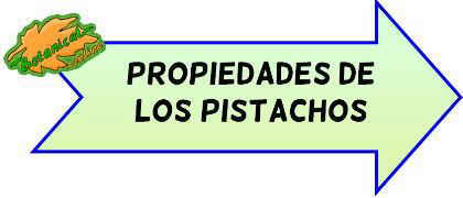 propiedades pistachos