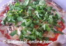 pizza rucula