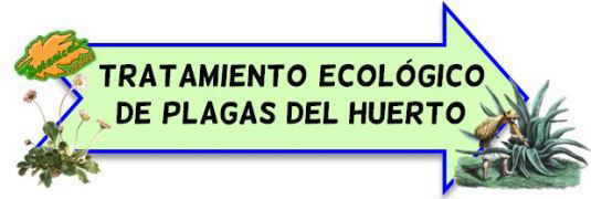 tratamiento ecologico plagas