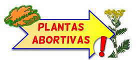 plantas abortivas cartel