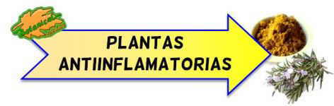 plantas antiinflamatorias