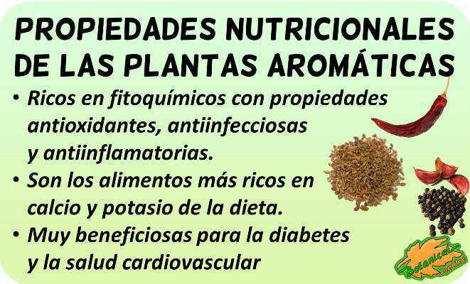 hierbas aromaticas especias propiedades nutricionales vitaminas minerales valor