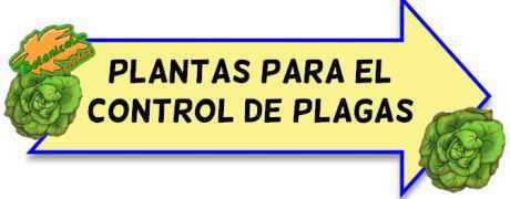 plantas control de plagas