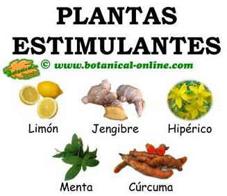 plantas estimulantes naturales