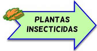 plantas insecticidas