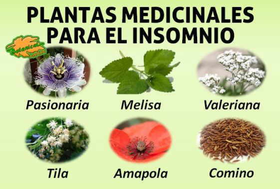 Plantas medicinales para el insomnio