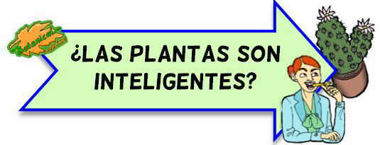 plantas inteligentes