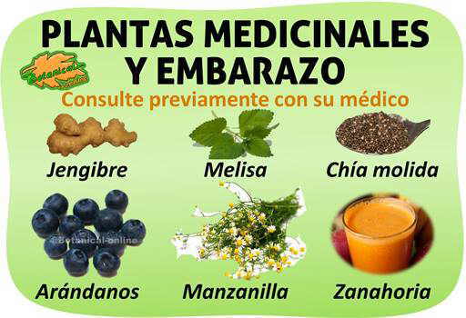 plantas medicinales para el embarazo