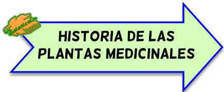 historia de las plantas medicinales