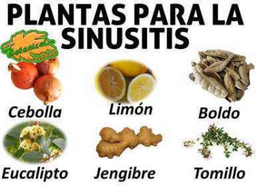tratamiento natural, plantas medicinales y remedios para la sinusitis