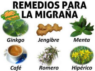 Plantas para Aliviar la Migraña Naturalmente: Un Enfoque Holístico