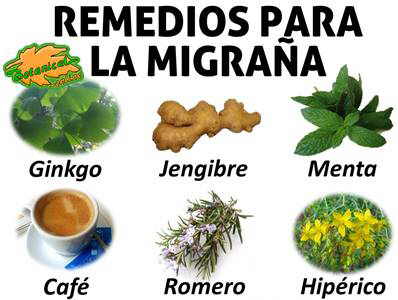 plantas medicinales y remedios para la migraña