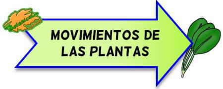 movimiento de las plantas