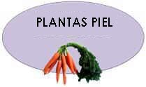 lista plantas piel