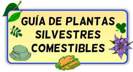 guia plantas silvestres