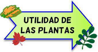 utilidad de las plantas